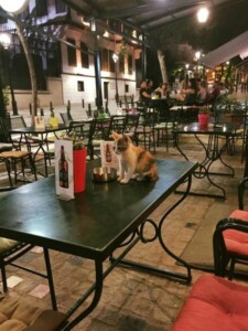 3574-KAFENEIA-Kafeneio-I-Prigkipos-THessaloniki-Kafeteria-Estiatorio-Mpar-Paradosiakoi-Mezedes-16-225x300 Η Πρίγκηπος Ρεμπετάδικο Θεσσαλονίκη 2025 Τηλέφωνο