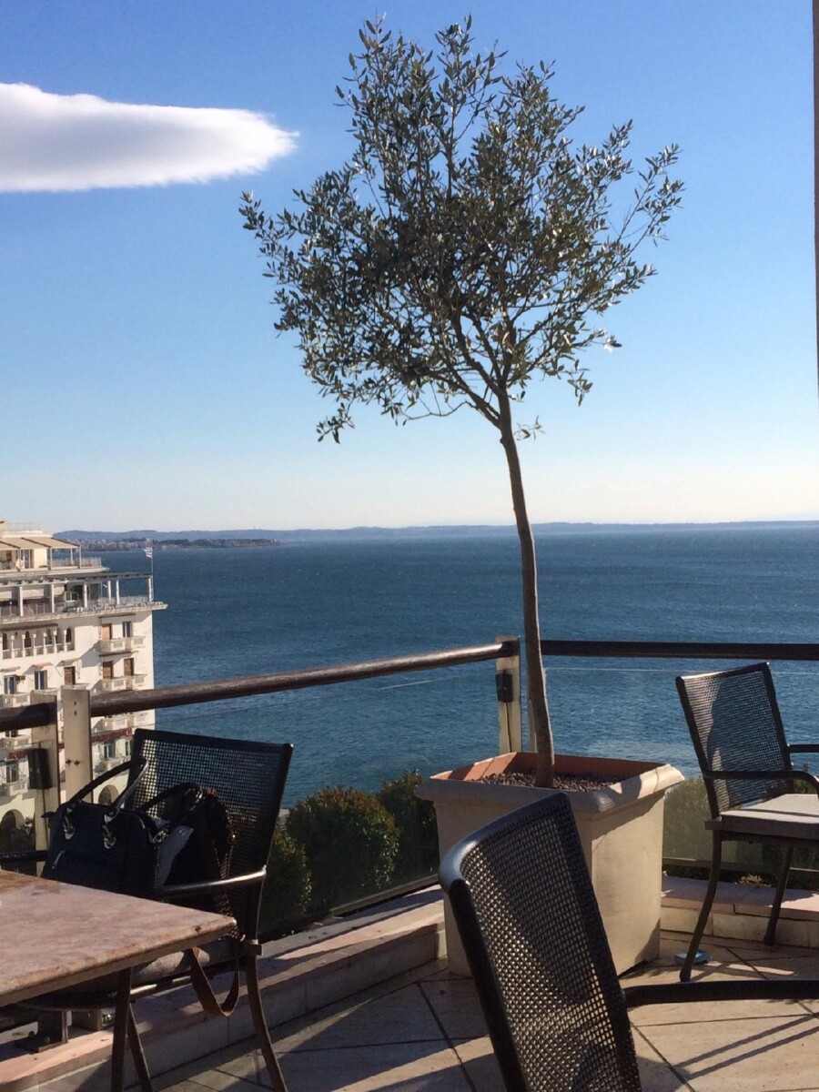 Orizontes Roof Garden Cafe Bar Θεσσαλονίκη 2026